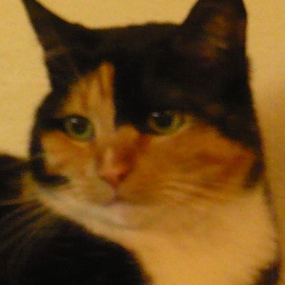 Meet your Posher, Jennifer - Picture 1 of 1